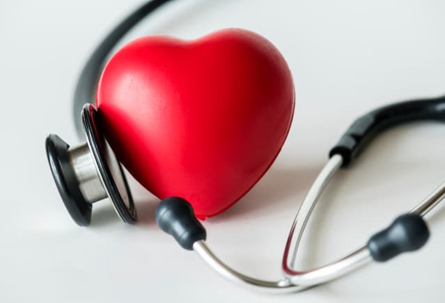 Illustrated human heart with glowing vascular detail